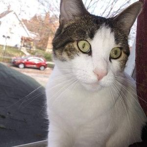 Meet your Posher, Ronda